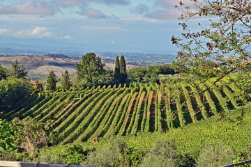 Naklejka premium Montepulciano, veduta della valle dalla Chiesa o Santuario della Madonna di San Biagio, Val d'Orcia, Toscana
