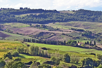 Naklejka premium Montepulciano, veduta della valle dalla Chiesa o Santuario della Madonna di San Biagio, Val d'Orcia, Toscana