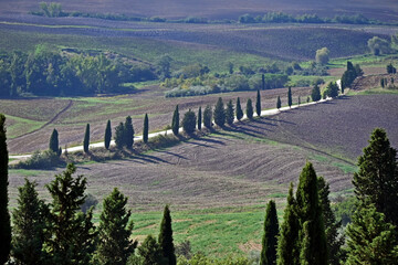 Naklejka premium Pienza, le colline della Val d'Orcia dalla loggia di Palazzo Piccolomini, Val d'Orcia, Toscana