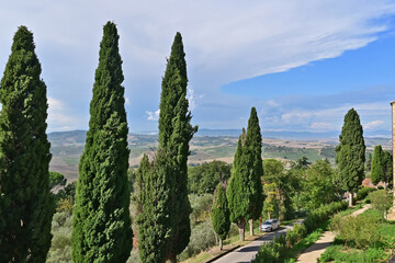 Naklejka premium Pienza, le colline della Val d'Orcia dalla loggia di Palazzo Piccolomini, Val d'Orcia, Toscana