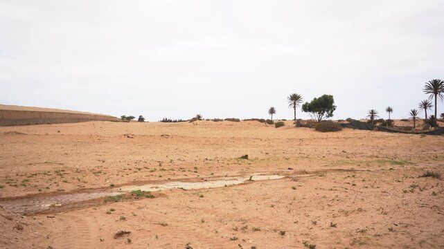 A wide cinematic pan across an arid desert landscape in Morocco under an overcast sky. The footage highlights commercial farm greenhouses built directly on the dry, sandy terrain.