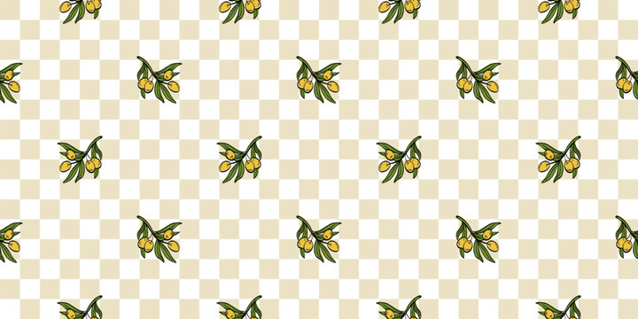 Leaves illustration olive vector oil with tree branch. Seamless hand pattern for nature rustic food herbal frieze background. Green leaf motifs from greece and spanish mediterranean.