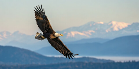 Fototapeta premium Bald eagle soaring with wings spread wide over mountainous landscape with snow capped peaks under clear sky