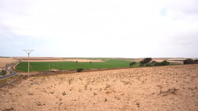 Wide static shot in Morocco contrasting a rocky, arid desert foreground with lush green irrigated farm fields and a winding rural highway. Ideal for desert farming and sustainability projects.