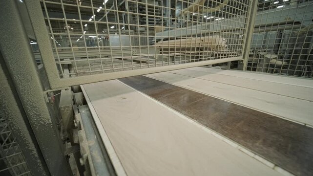 Close-up of an automated production line with timber slats in motion within a modern wood processing facility