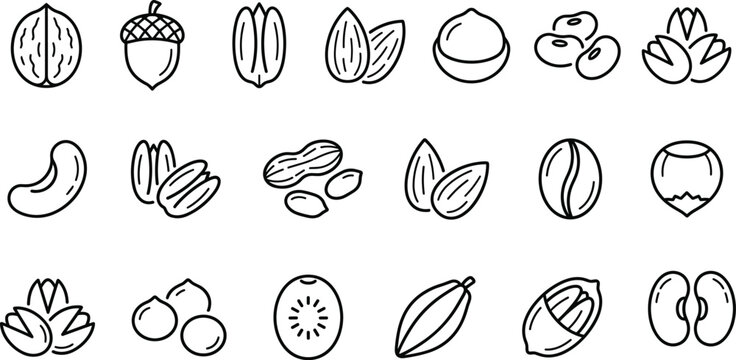 Black outline vector icon set featuring healthy organic nuts, seeds, and beans like walnut, almond, cashew, peanut, hazelnut, and pistachio for vegan food graphic design.