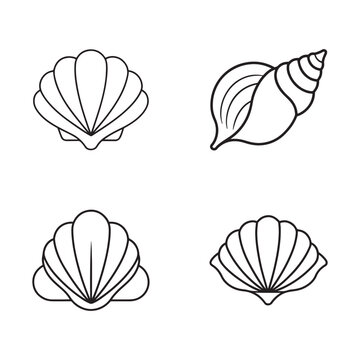Line drawing of various seashells including scallop and conch on white background  ocean creatures