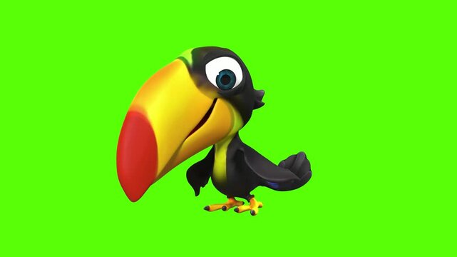 toucan on a white background