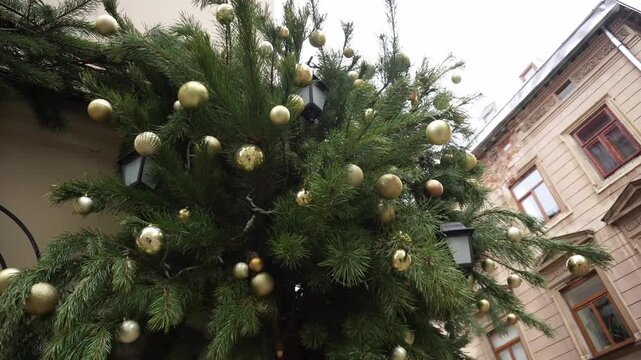 Outdoor view of lush green evergreen tree adorned with many sparkling golden baubles and dark street lights, holiday spirit, traditional winter celebration decor, urban street setting, old town archit