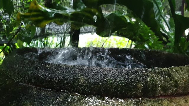 Continuous heavy rain pours violently into a dark stone basin creating vigorous splashes and chaotic water ripples against a backdrop of blurry green foliage.