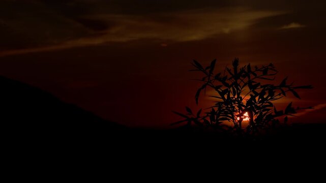 Slow Motion Sunrise Through Bush Over Mountain Landscape