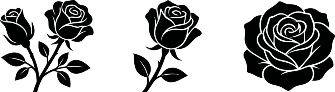 Black Rose Silhouettes Elegant Floral Designs for Various Applications