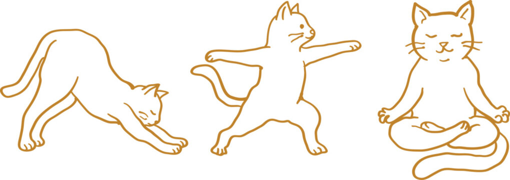 Hand-drawn golden outline of three cats in different yoga poses, including downward dog, warrior stance, and a seated lotus position