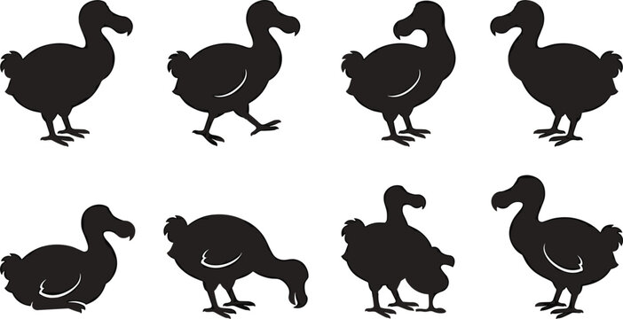 Dodo bird silhouette vector illustration collection with standing, walking, sitting and feeding poses, black extinct animal icons isolated on light background