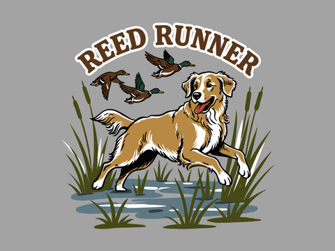 Hunting dog vintage artwork for t shirt. Mallard duck hunting design. Golden retriever running in reeds. Outdoor adventure graphic. Retro marsh art.
