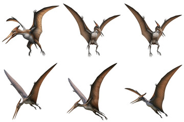 Six Pterodactyls in flight against a black background © david
