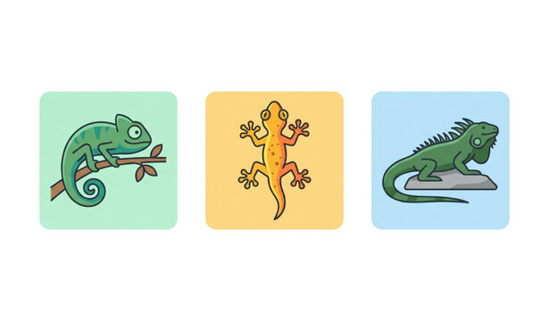 Colorful lizard and gecko illustrations