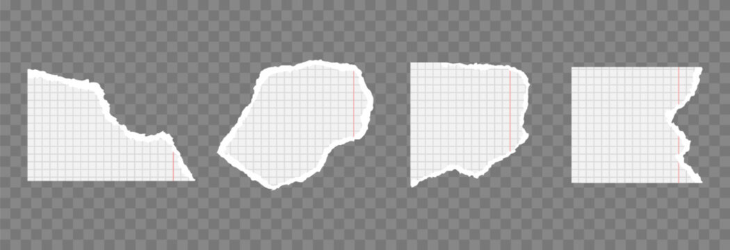 Set of torn pieces of checkered paper with uneven edges PNG. Torn pieces of pages, notebook or book on a transparent background.