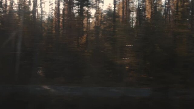 Side view from passenger train window shows blurred forest trees and road, suggesting high speed travel. Sunlight filters through autumn foliage, creating atmospheric scene of journey.