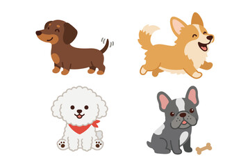 Fototapeta premium Different dog breeds collection set vector, cute puppy characters of dachshund, corgi, poodle, frenchie