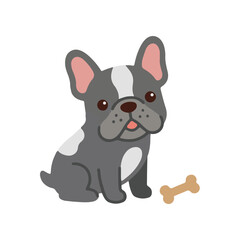 Cute french bulldog with bone vector illustration, adorable grey frenchie pet character
