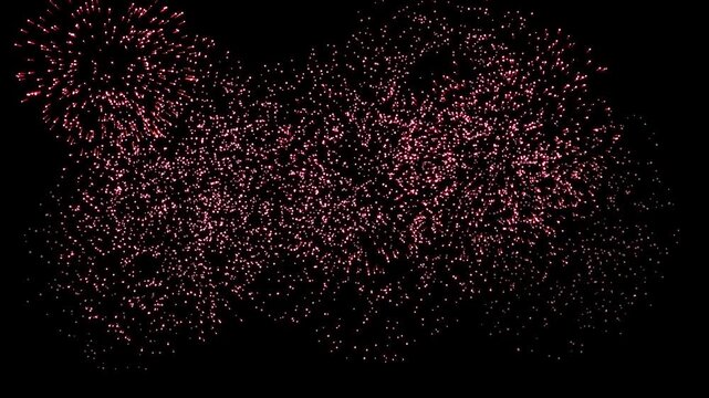 Vibrant 2D motion graphics of weeping willow fireworks cascade. Heavy gravity pulls deep pink to golden yellow linear gradient sparks, isolated on solid black.
