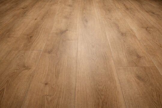 Matte oak laminate flooring surface texture background with refined grain and studio light copy space