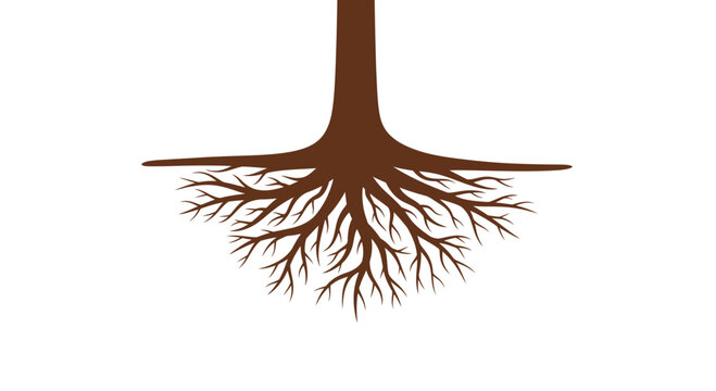 Tree Roots System Illustration