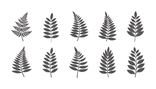 Collection of ten dark grey fern leaf silhouettes white