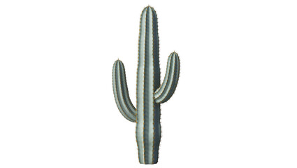 Tall green cactus with two arms, isolated on transparent background © Vasilis