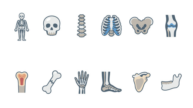 A collection of stylized cartoon icons depicting various human skeletal parts, including the full skeleton, skull, spine, ribs, pelvis, knee, bone cross-section, broken bone, hand bones, foot bones.