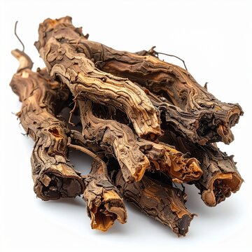 Devil&rsquo;s Claw (Harpagophytum procumbens) &ndash; Natural Anti-Inflammator 