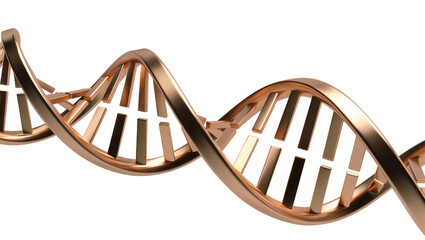 Obraz premium Metallic copper DNA helix structure, isolated on transparent background