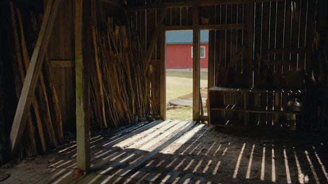 Bright daylight spills through an open barn door, casting long striped shadows across rough wooden floors and tools inside a quiet rural outbuilding.