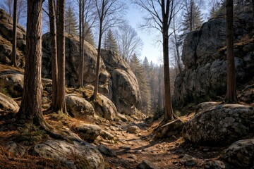 Fototapeta premium quiet natural scene showcasing stark trees around massive stone formations under clear daylight