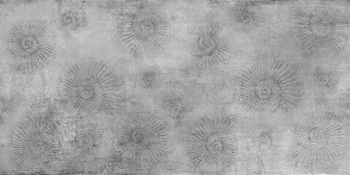 Abstract fossil patterns on a textured grey background create a captivating display of ancient marine life. Evoking a sense of history and the mysteries beneath the earth's surface.
