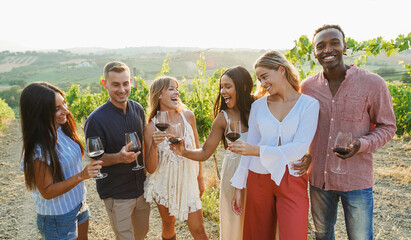Naklejka premium Happy friends cheering with red wine at countryside summer event - Multiracial people having fun during vacation - Travel and holidays concept - Focus on faces