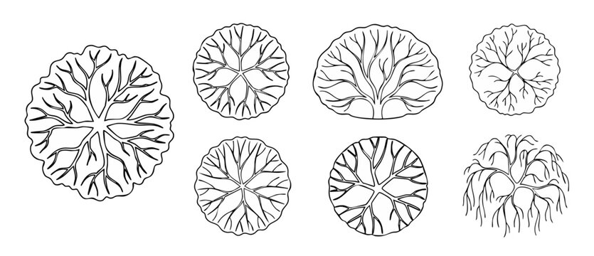 Tree top view vector set, architectural landscape design elements, black and white sketch icons of trees for site plans, CAD symbols for urban planning, nature silhouettes for drafting and illustratio