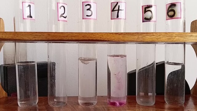 Chemical Reaction Showing DPD Tablets Dissolving And Bubbling In Test Tubes During A Water Quality Analysis In A Rack