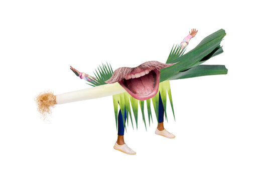 Creative collage image human face fragment caricature mouth onion vegan food nutrition ingredient legs hands psychedelic concept