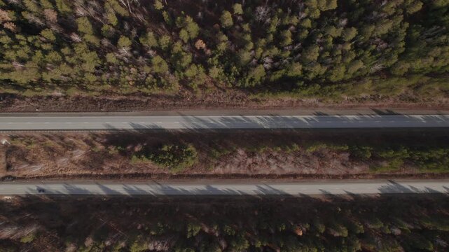 Drone footage, top down view of a two lane highway with cars driving between pine forest and bare trees in the Ural region, Russia, in early spring daylight