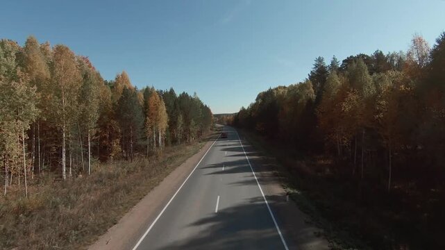 FPV aerial footage flying above an empty two lane highway cutting through colorful autumn forest under clear blue sky, rural countryside road travel concept
