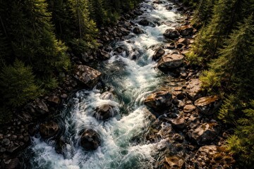 Fototapeta premium top down shot showing a dynamic river flowing in an untamed region