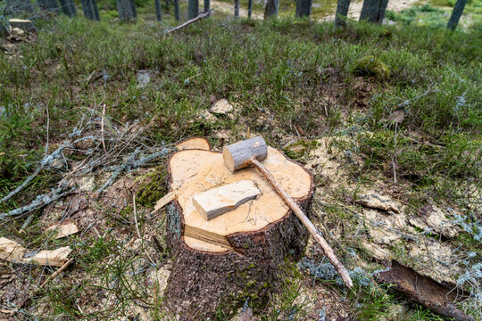 A replacement wooden hammer and wedge for when you forget to bring your original equipment when felling trees in the forest by lumberjacks.