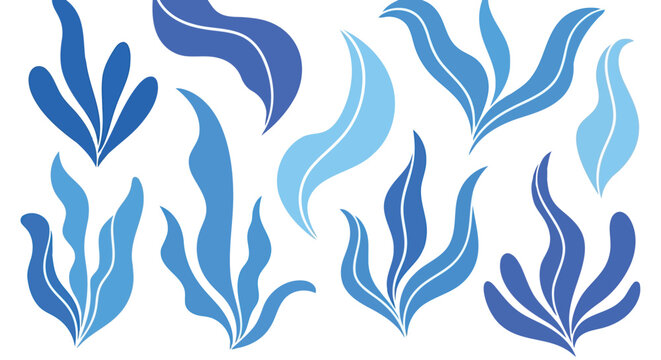 Abstract blue seaweed organic leaf shapes vector set minimalist aquatic plant