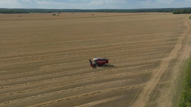 Drone view of red combine harvester harvesting grain and leaving straw rows across a vast wheat field in the Ural region, Russia, showcasing modern agriculture and rural landscape