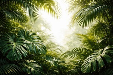 Fototapeta premium Exotic jungle scenery showcasing palm leaves and monstera foliage with white background texture