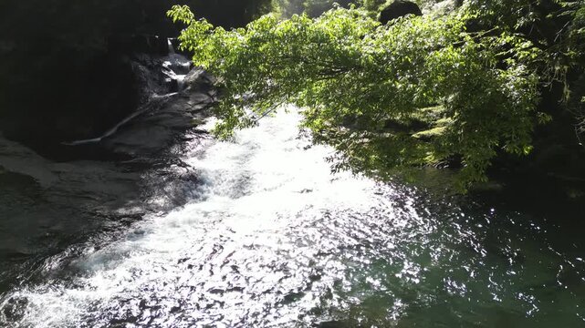 Shijusanman Waterfall, Kikuchi Gorge Japan | Top 100 Waterfalls, Fresh Green Forest and Clear Stream Reflection Aerial Drone Background