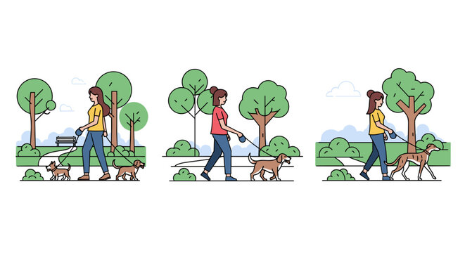 Woman walking dogs in a park on a leash, illustration of outdoor recreation and pet care