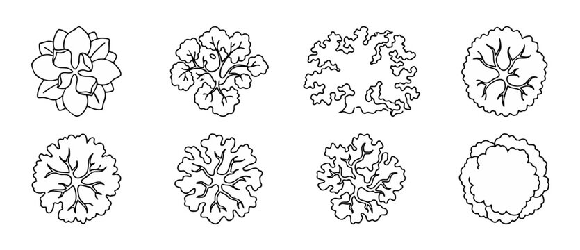 Tree top view symbols for architectural floor plan design and landscape drawing, black line art vector set of vegetation elements for site planning and urban landscaping blueprints, isolated icons col